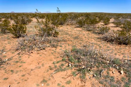 South of Apache Flats