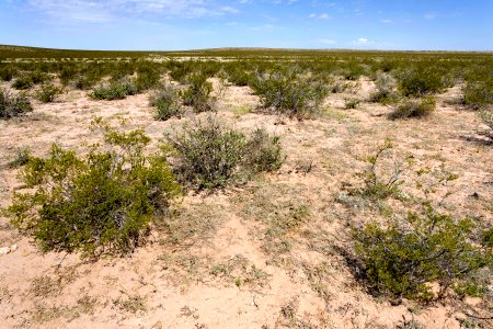 Apache Flats
