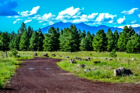 Canyon Vista Campground