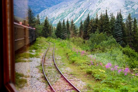 Scene passenger tracks