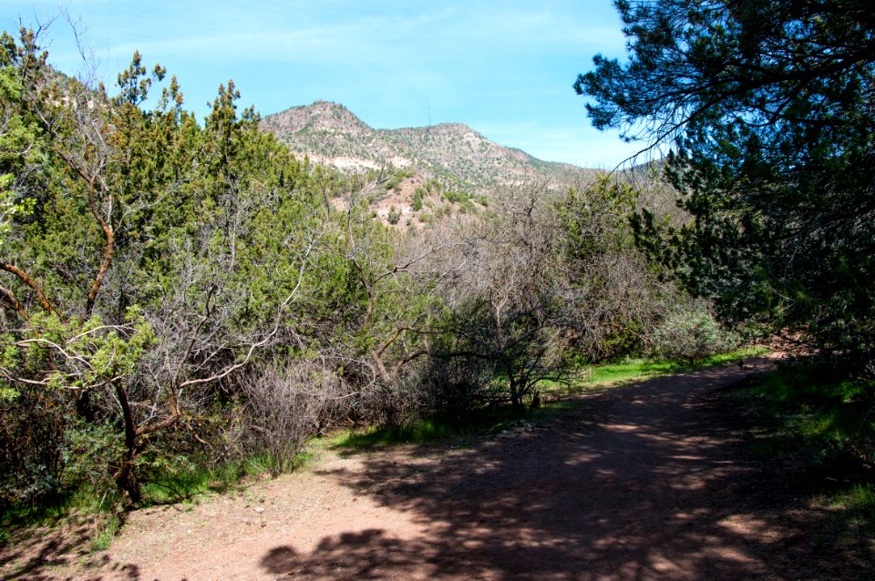 Waterfall Trail at Fossil Creek