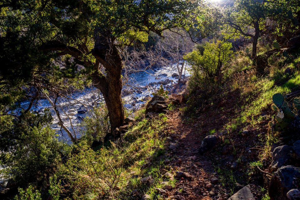 Woods Canyon Trail No. 93