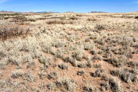 Near Macho Creek