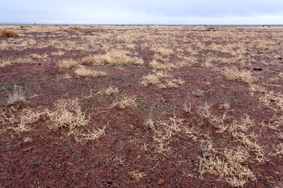 West-northwest of Northern Lordsburg Playa