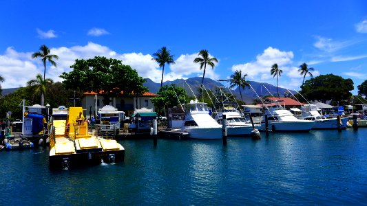 Lahaina harbour photo