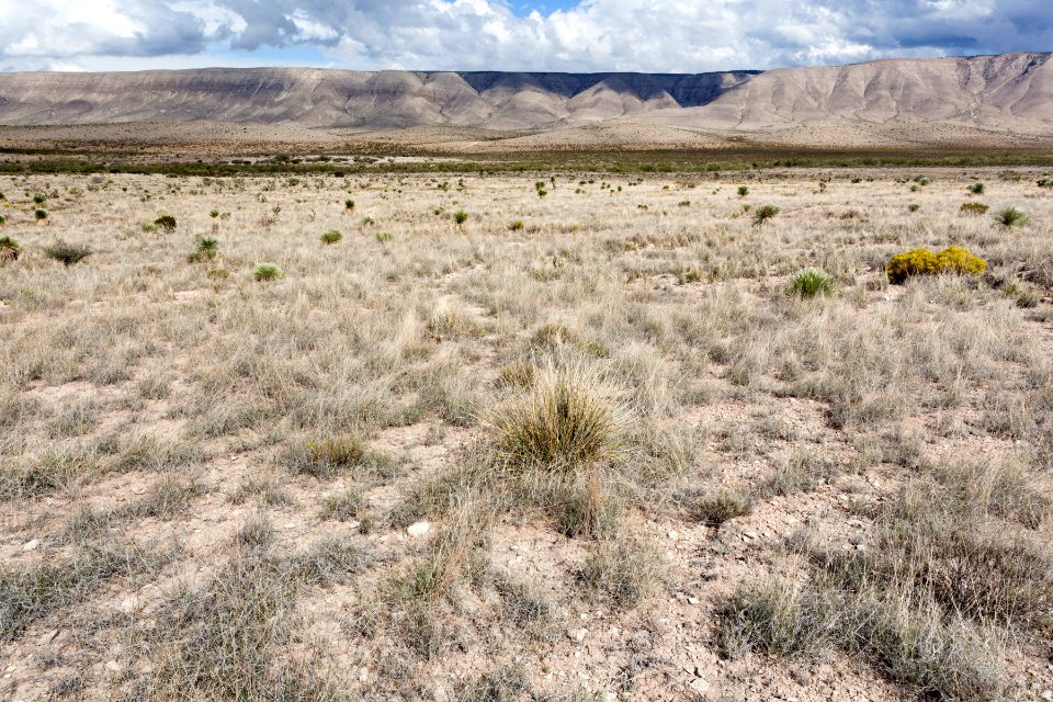 Northeast base of the Brokeoff Mountains