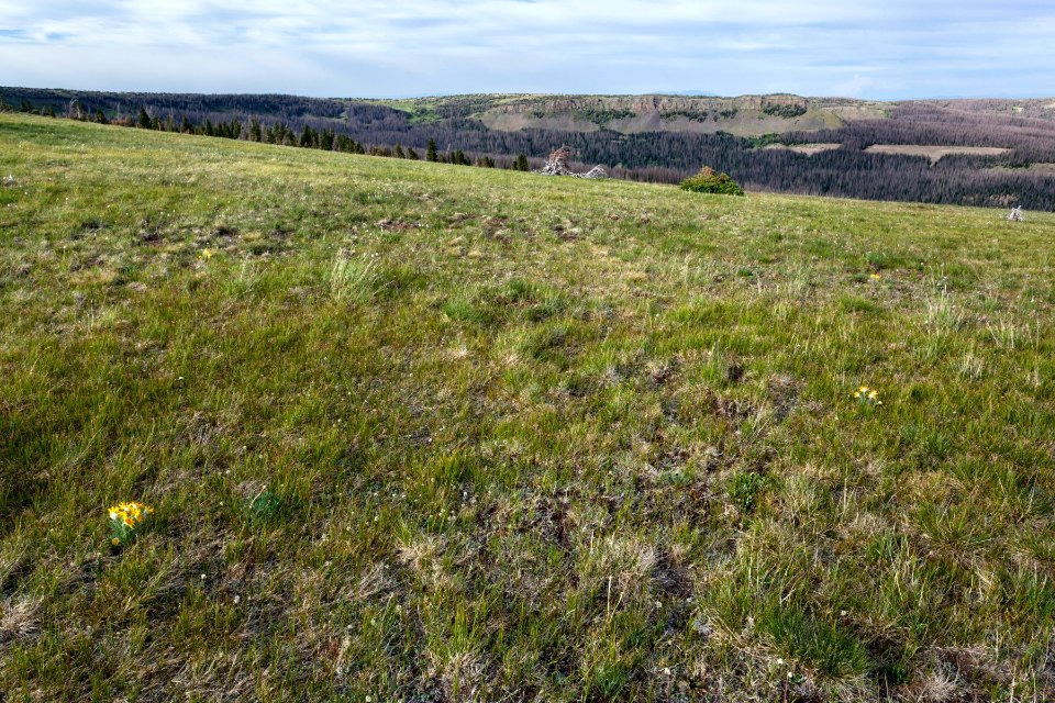 Continental Divide Trail