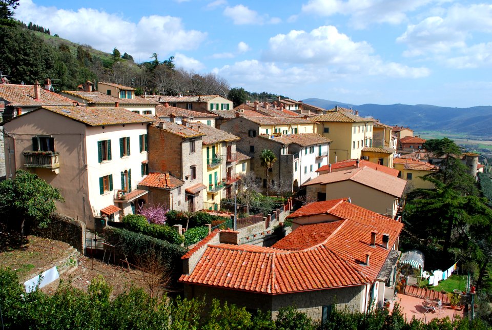 Cortona hillside