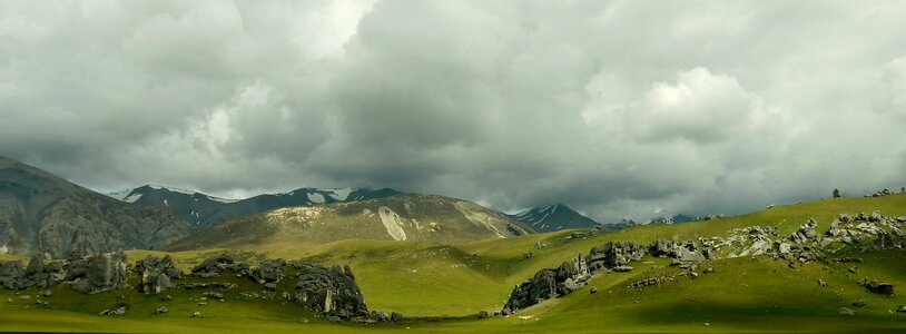 Nature landscape green grass