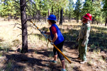 Deer Hill Trail: National Public Lands Day 2017