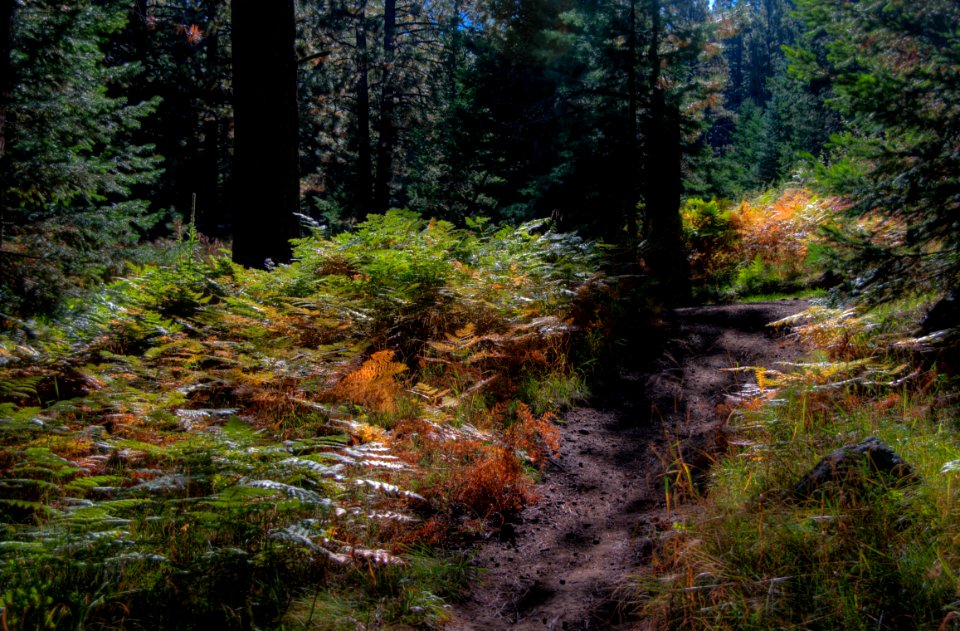 Sunset Trail No. 23