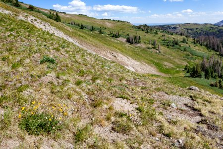 Continental Divide Trail