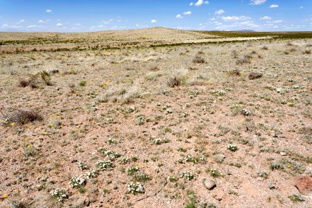 Near Apache Flats