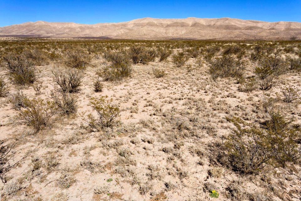 Otero Mesa