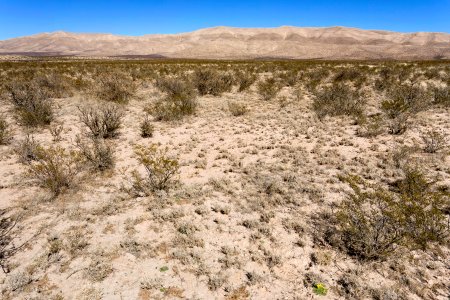 Otero Mesa