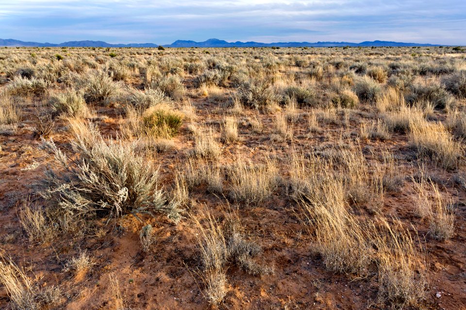 Northern Jornada Plain