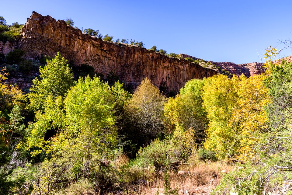 Fall color on Parsons Trail (November 8, 2017)