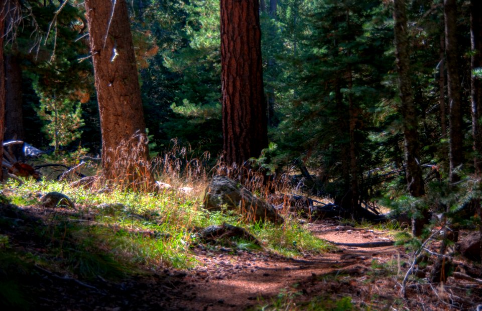 Sunset Trail No. 23