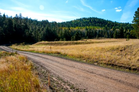 Around the Peaks Loop: Hart Prarie Road