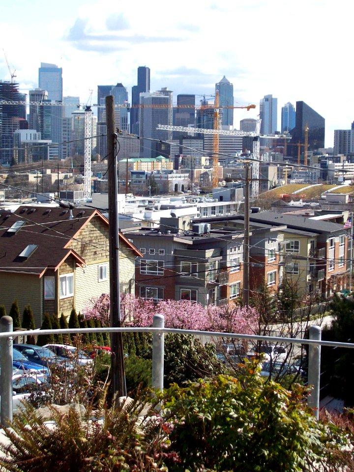 Seattle from Lower Queen Anne