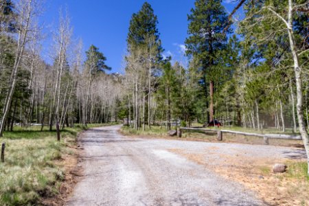 Lockett Meadow