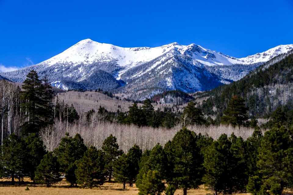 Winter 2016: San Francisco Peaks photo