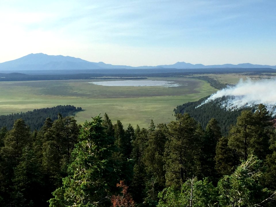Camillo Fire 2015-06-18: Hutch L.O. View
