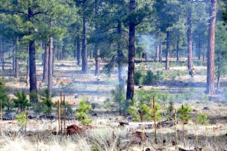 Woody Ridge Rx Burn 4-7-16