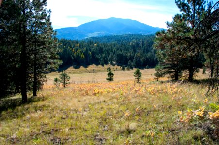 Around the Peaks Loop: Hart Prarie Road