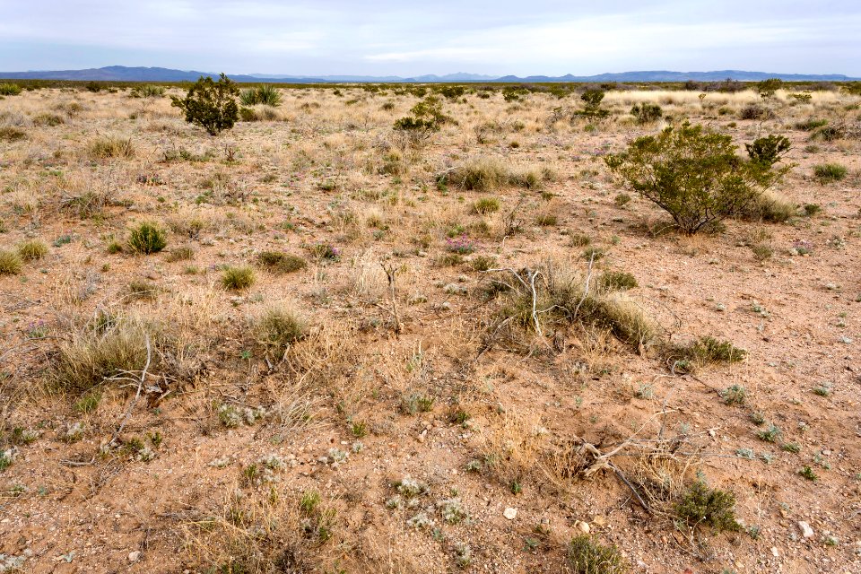 Near Tierra Blanca Creek