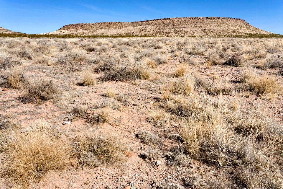 South of the Sierra de las Uvas