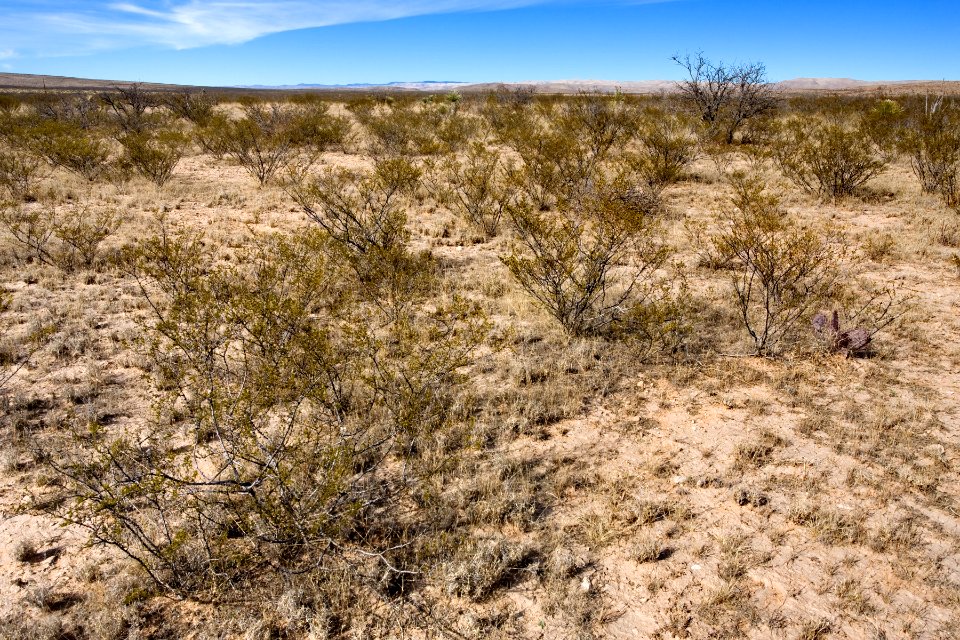 Northeastern Otero Mesa