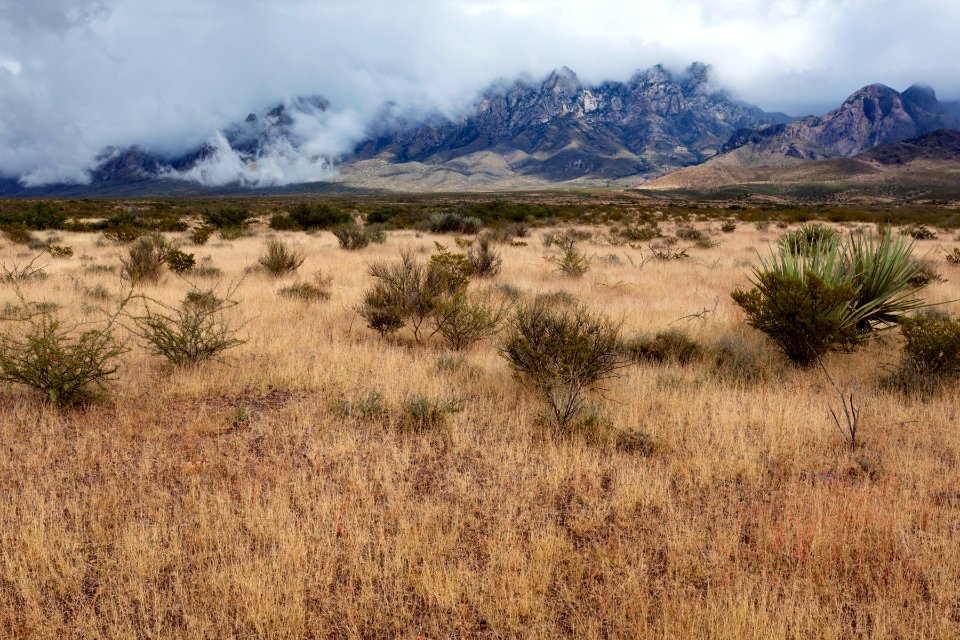 West bajada of the Organ Mountains