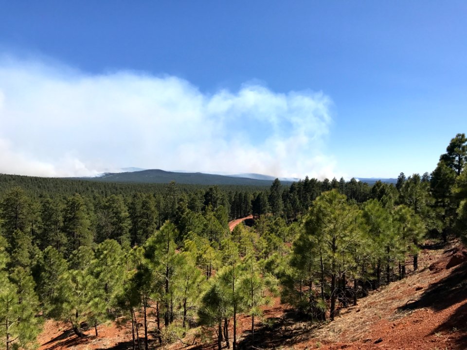 Snake Ridge Fire (May 27, 2017)
