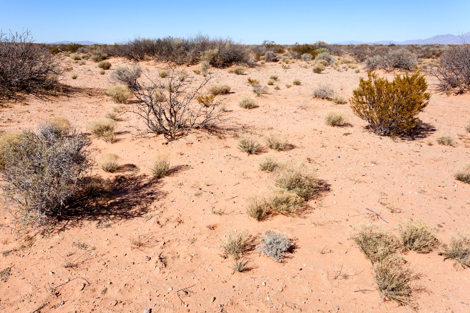 Northeast of Little Black Mountain