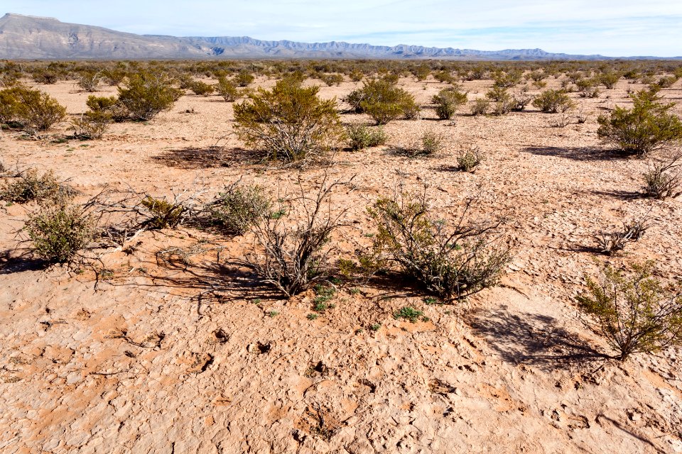 Southeast of Lone Butte