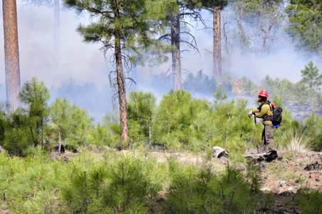 Woody Ridge Rx Burn 4-7-16