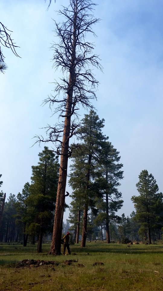 Snake Ridge Fire (May 25, 2017)