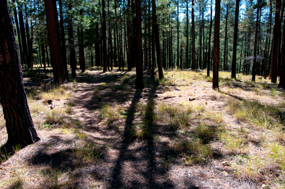 U-Bar Trail No. 28