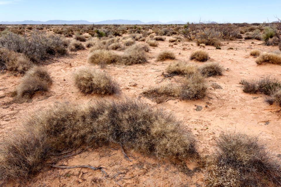 Southeast of Lone Butte