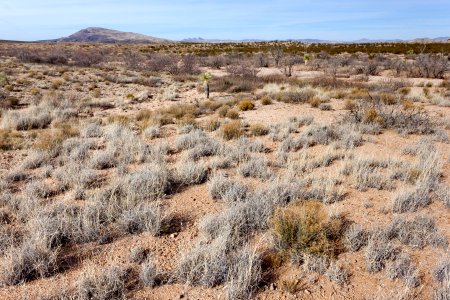 Southwest of Redrock