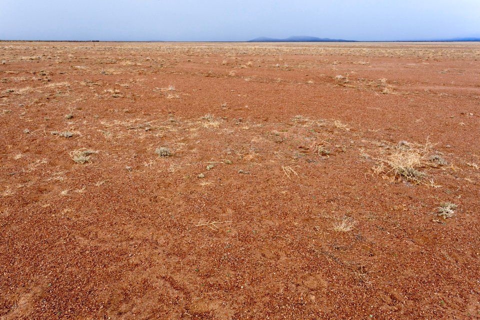 Northwest of Northern Lordsburg Playa