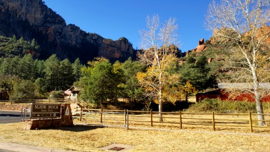 Fall Color in Oak Creek Canyon (November 8, 2017)