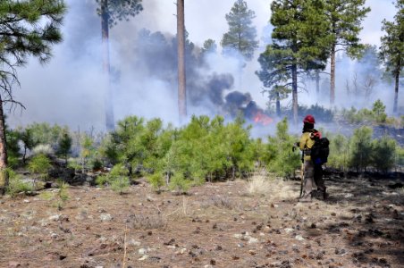 Woody Ridge Rx Burn 4-7-16