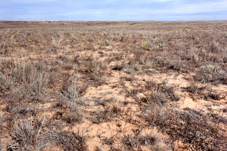 Near Taylor Draw
