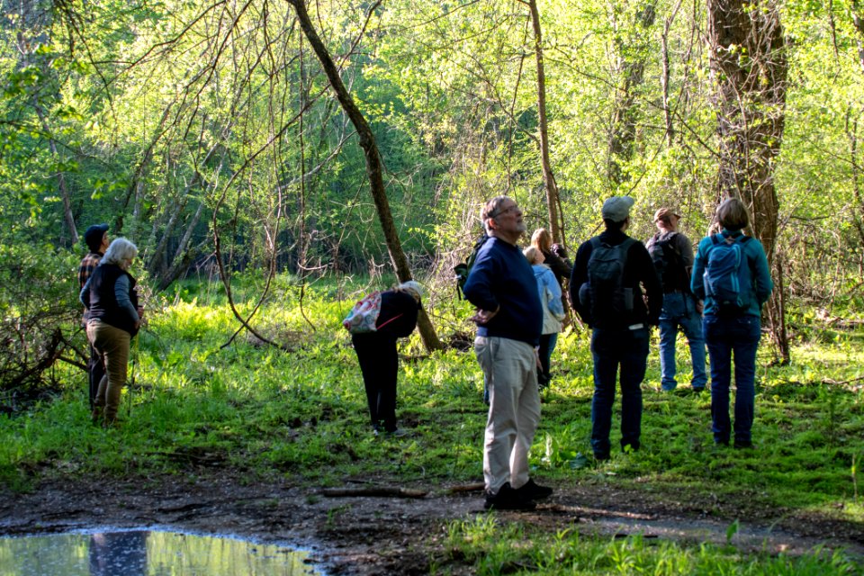 2019 Walk for the Woods Bacon Ridge Natural Area 057
