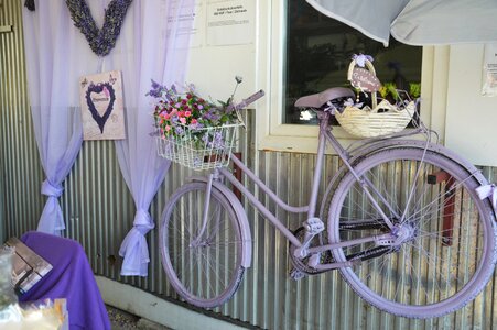 Lavender bike purple