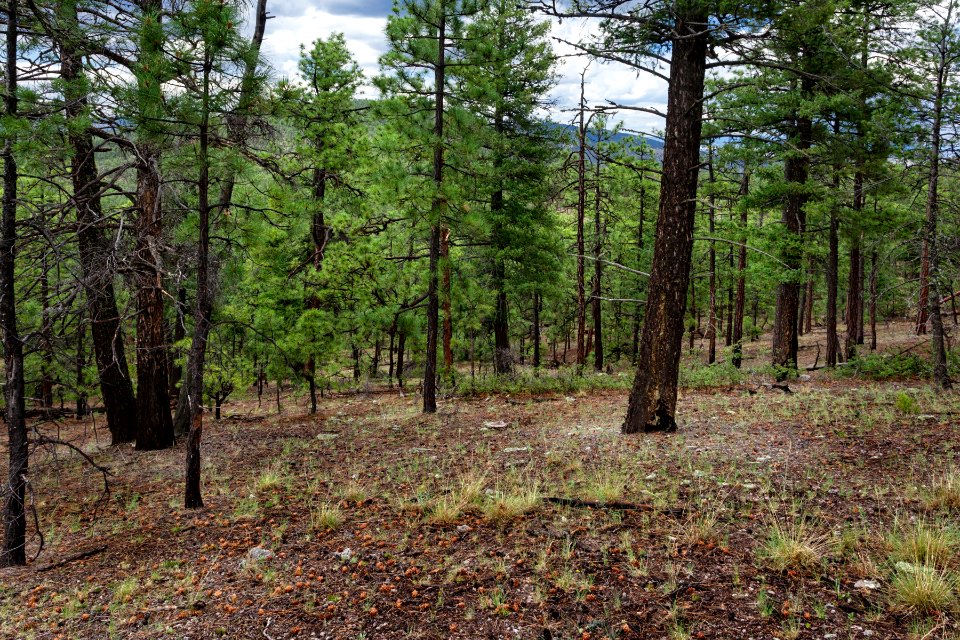Continental Divide Trail