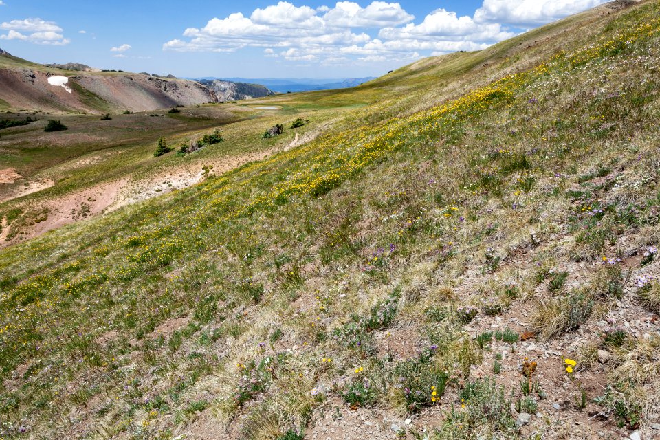 Continental Divide Trail