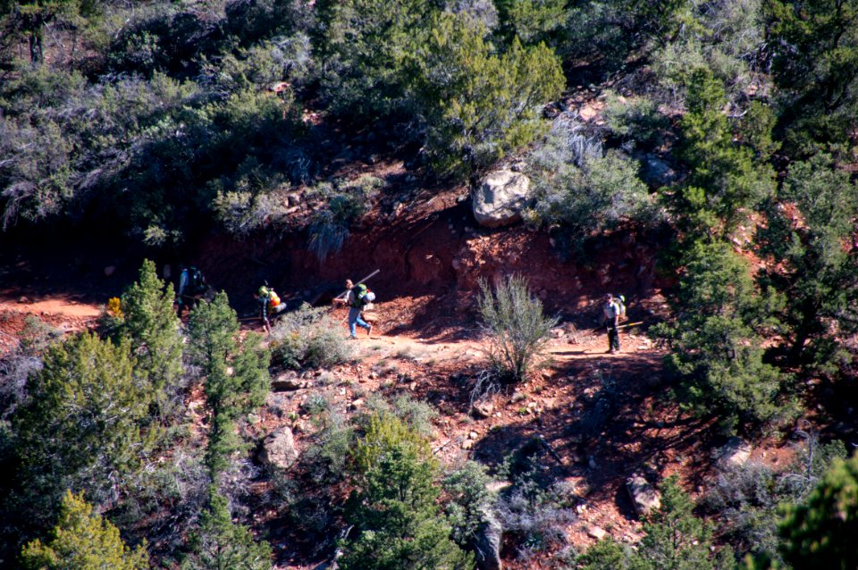 Fossil Springs Trail No. 18